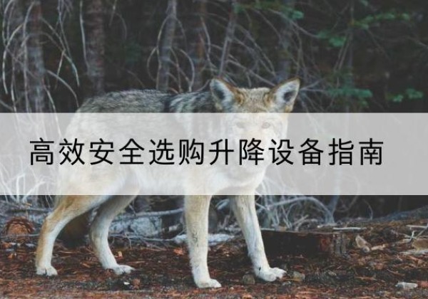 宁远升降货梯厂家推荐-*安全选购升降设备指南