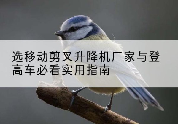 宁远电动升降机厂家-选移动剪叉升降机厂家与登高车必看实用指南